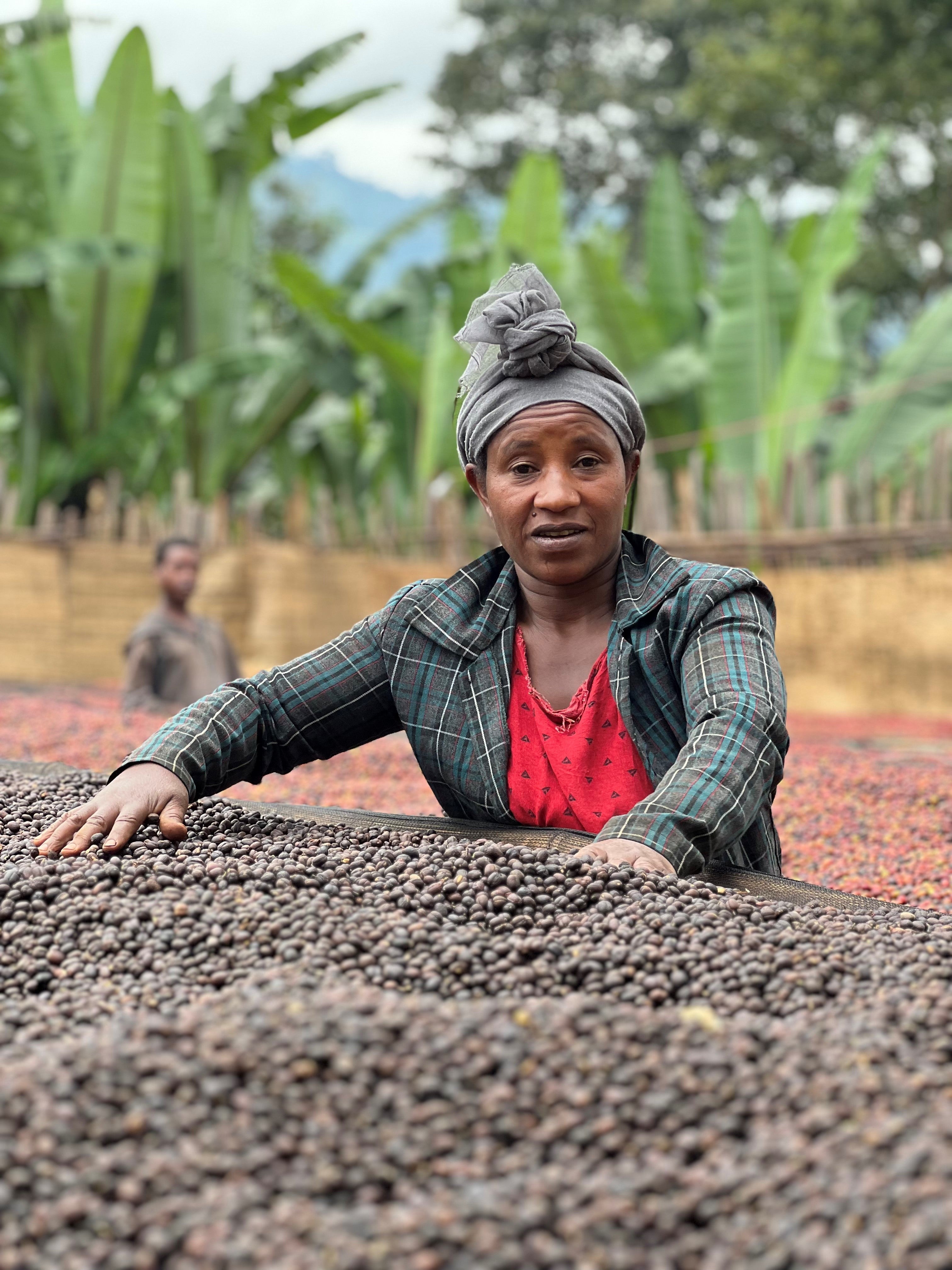 Ethiopia Tefanesh Zeleke natural - espresso roast